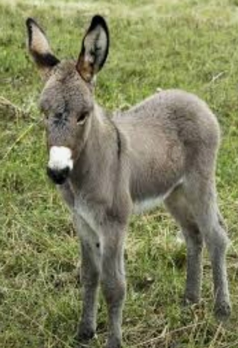 If your partner broke up with you for someone else and decided they made a mistake and wanted you back would you go back?