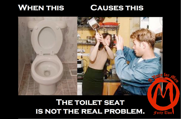 When guys leave the toilet seat up, does it really bother you?