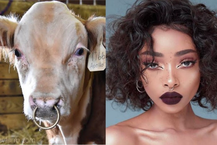 Whats the point of wearing this piercing?