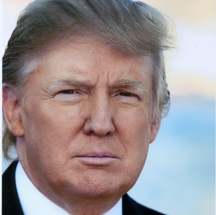 Do You Think That Donald Trump Was A Good President?