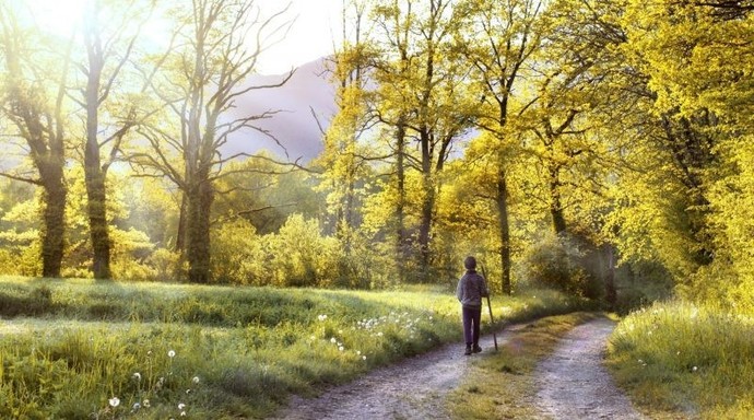 Whats it like to be an adult?