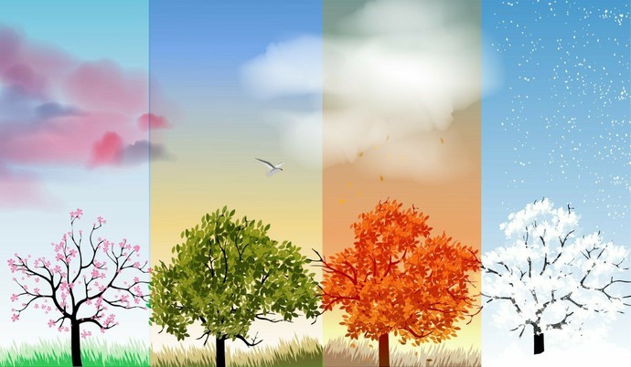 Which season were you born in?