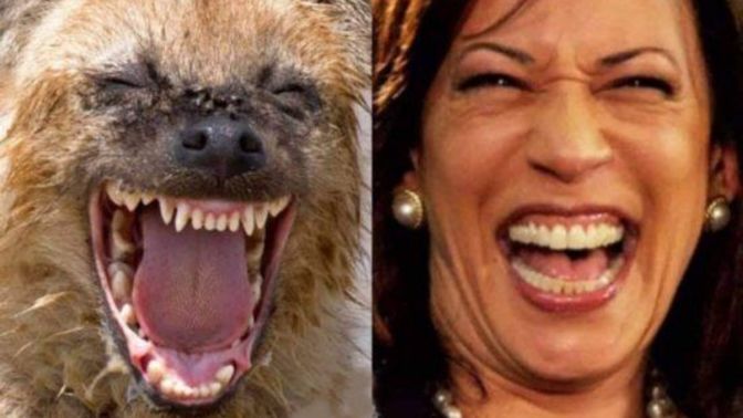 After 3 months of NOTHING Harris is FINALLY going to the border. Is she only doing it because President Trump said he is going and she had no choice?