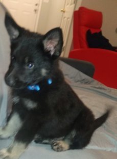 Who looks the best of them all?