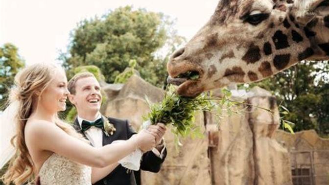 What does your dream wedding look like?
