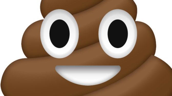 Which foods make you poop?