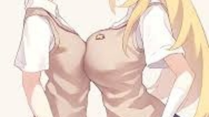Girls, do you want big boobs or small boobs?