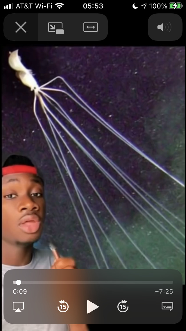 What's one animal that would terrify you if you met it?