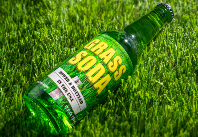 Would You Rather Drink Butter Soda, Grass Soda, Bacon Soda Or One Or All Of The Following?