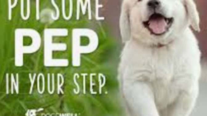 What Puts A "Pep In Your Step" ?