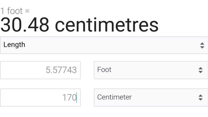 Why every website converts feet to cm differently?