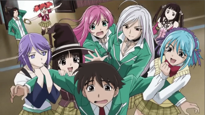 Guys, If you could have your own harem, would you?