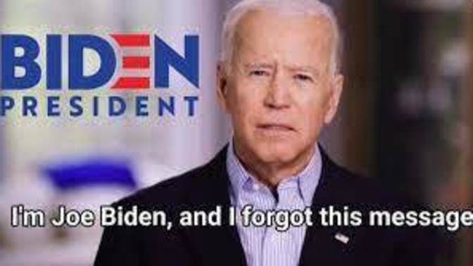 It is 2024 and it is Dementia Biden vs Trump 2 , who would you vote for?
