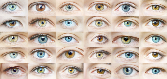 What is the most attractive eye color?