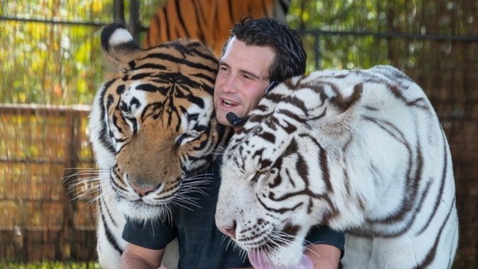 Tiger vs Lion? Which do you prefer?