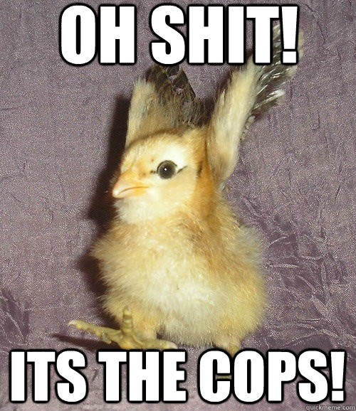 Have you ever been arrested?