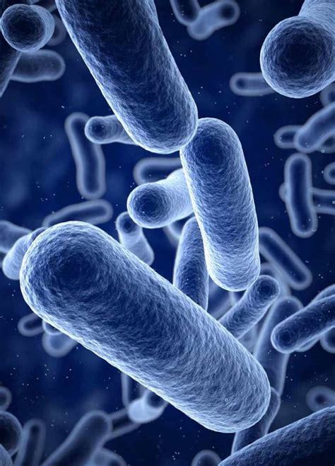 What is the most ill you have even been?