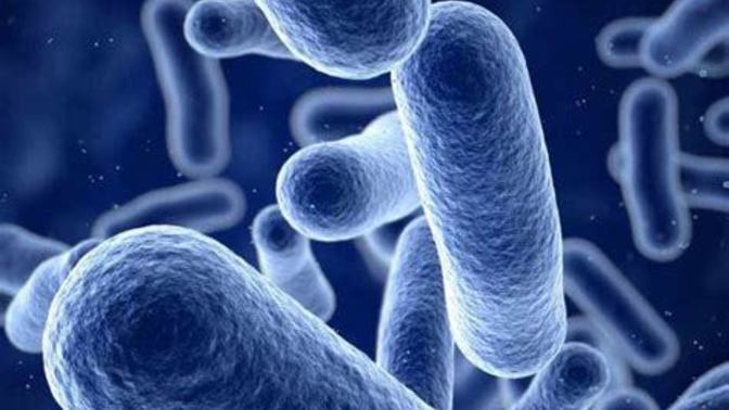 What is the most ill you have even been?
