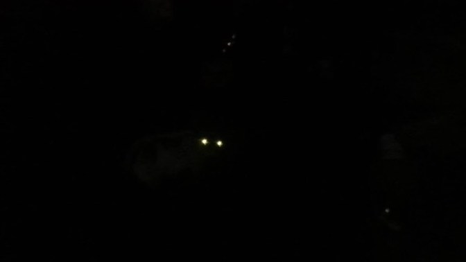 How old were you when you stopped being afraid of the dark?