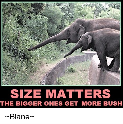 Be honest now, does 🍆size actually matter?