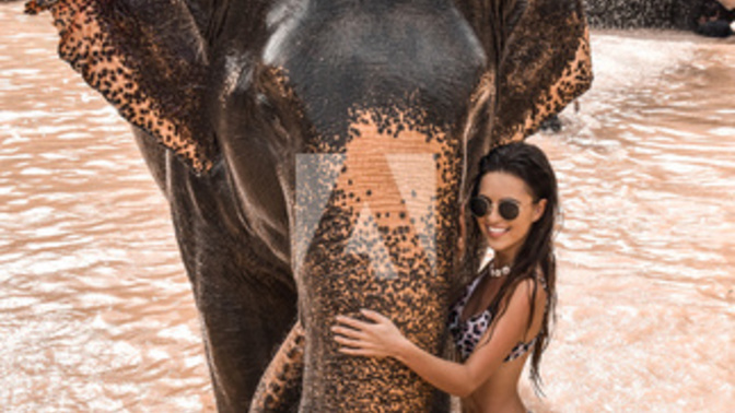 Girls, would you rather partake in a bikini car or elephant wash?