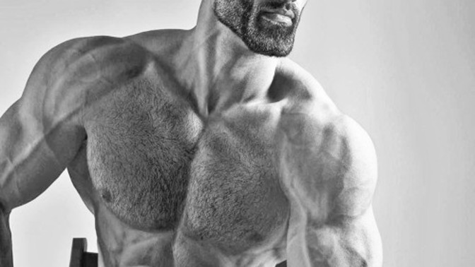 Ladies do you find Giga Chad physically attractive?