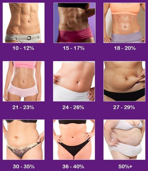 What amount of body fat looks best for women?
