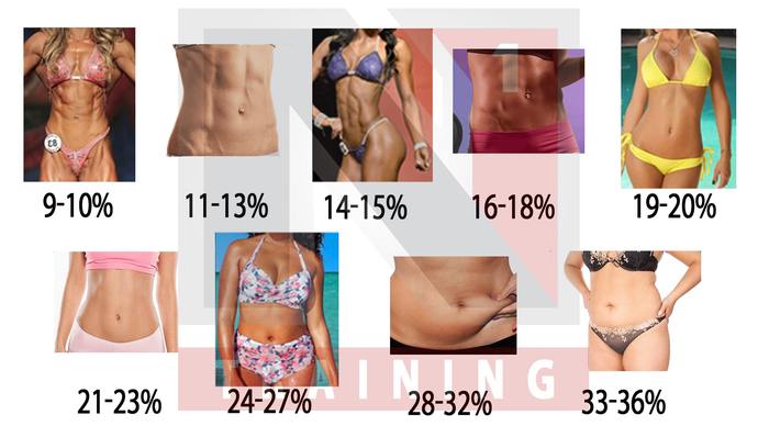 What amount of body fat looks best for women?