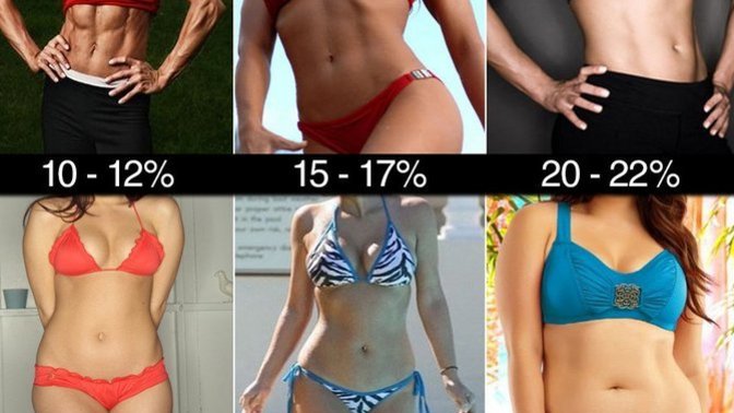 What amount of body fat looks best for women?
