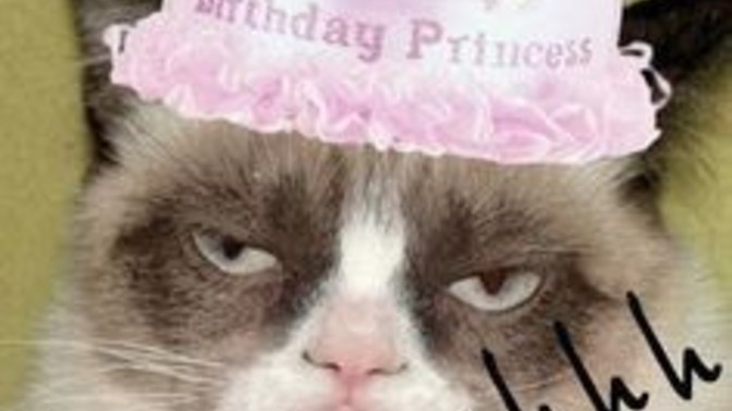 It's my 40! Birthday today... I feel old and depressed. Lol. Anyone else hate birthdays?