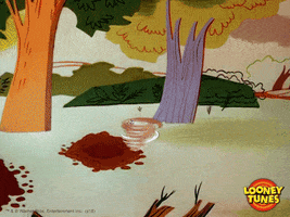 Who is/are your favorite Looney Toons Character (s)?