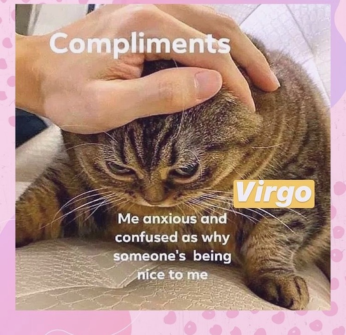 Are you single by choice?