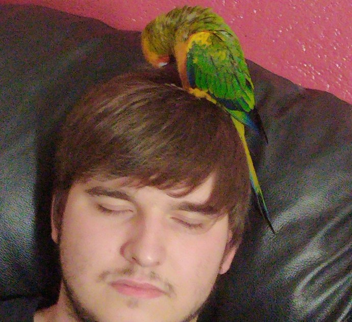 Who do you love? And what is your reason for loving them?