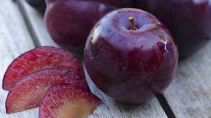 Do you like plums?