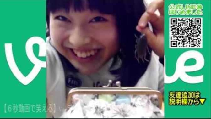 What do you think of these old Japanese Vine videos of fake cockroach pranks?