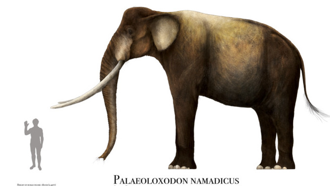 What region of Earth had the most under-rated ice age megafauna?