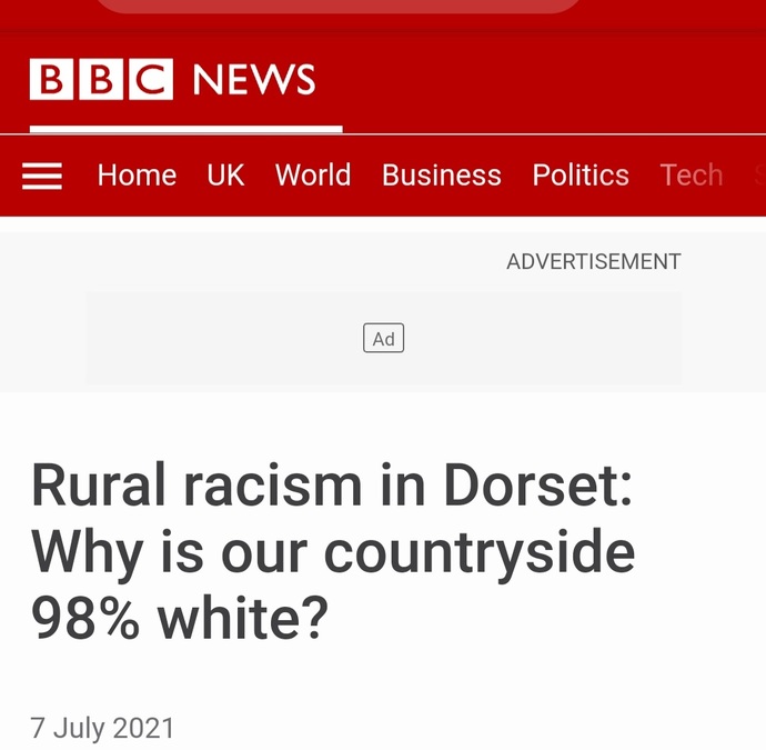 Is diversity a cult at this point?