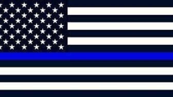 Why does a group of individuals "PLEDGE ALLEGIANCE" more to a person on a flag and black and white stripes more - opposed to the red and white?
