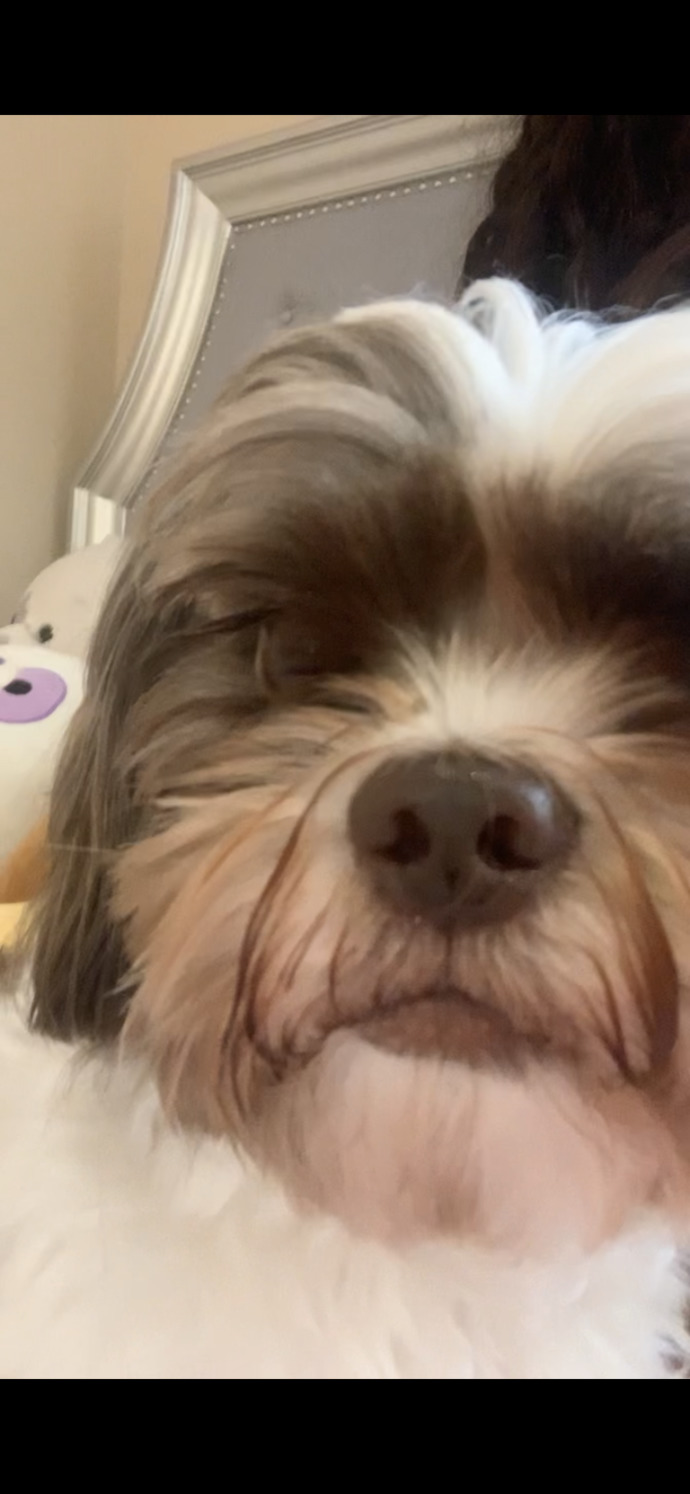 Does he look like a turd?