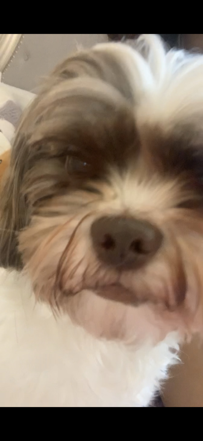 Does he look like a turd?