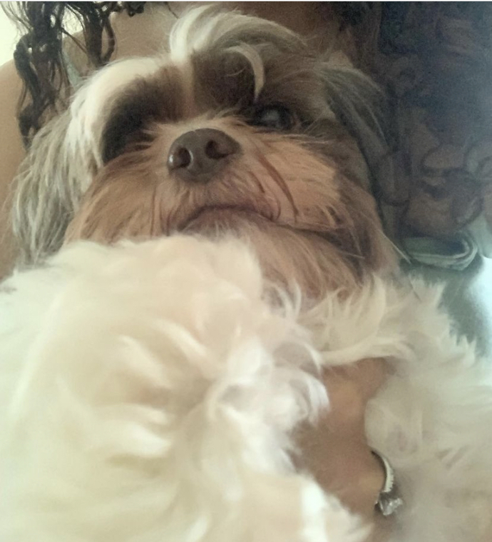 Does he look like a turd?