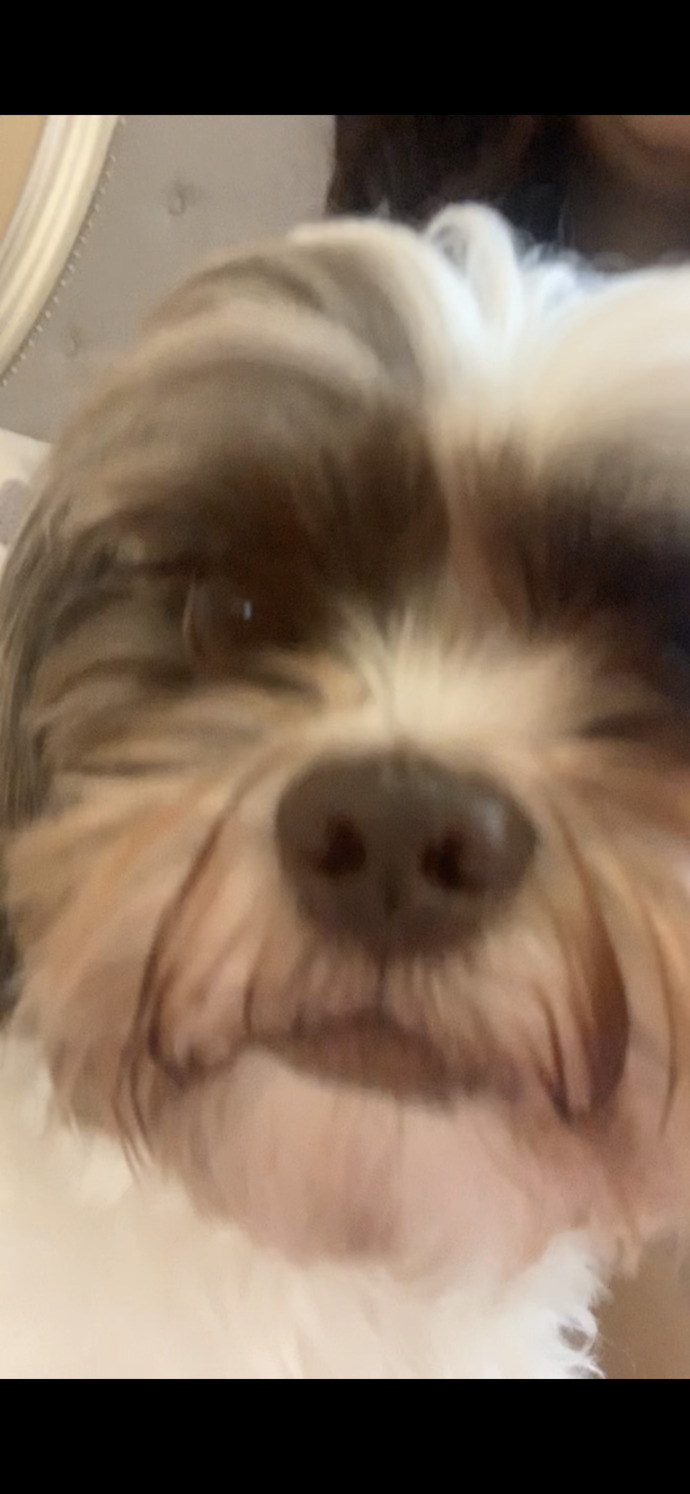 Does he look like a turd?