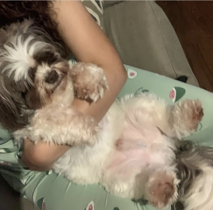 Does he look like a turd?