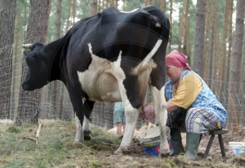 Guys, do you find milkmaid dresses attractive?