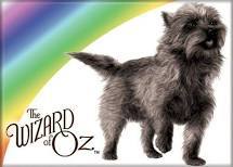 Your favorite Wizard of OZ character?