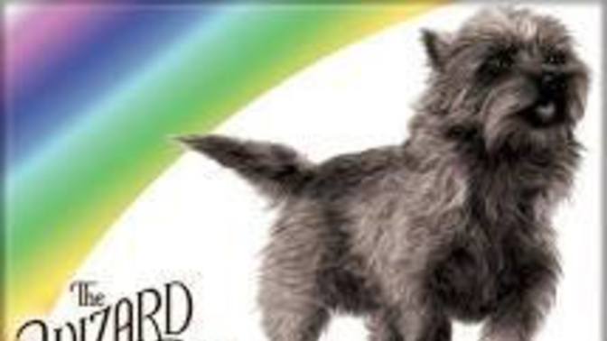 Your favorite Wizard of OZ character?