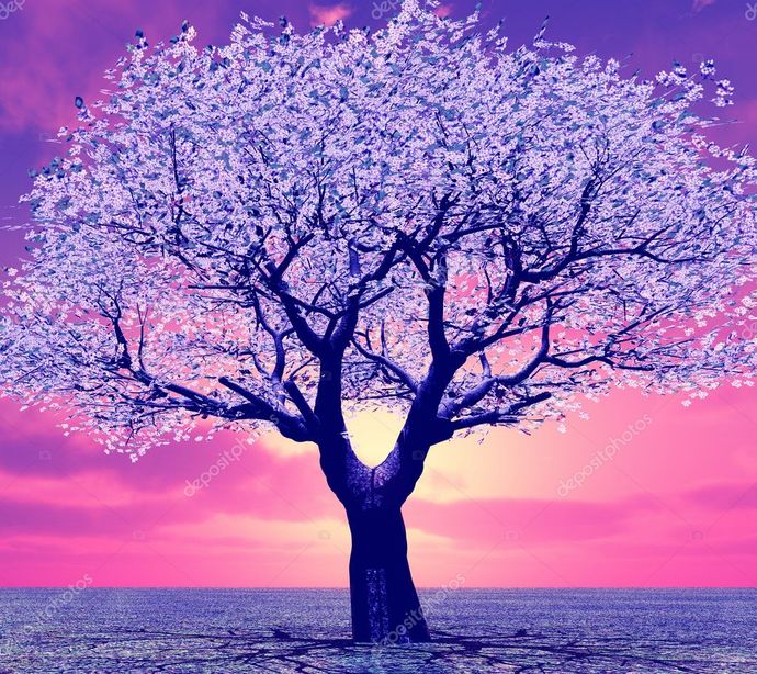 Have you ever built your family tree? How is it?
