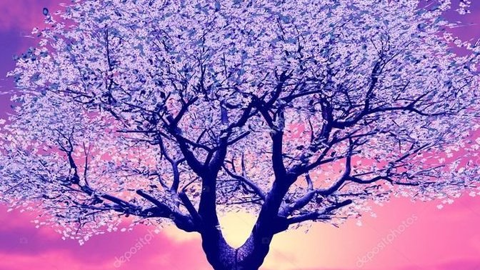 Have you ever built your family tree? How is it?