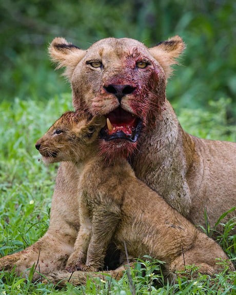 Intimidation women to men... thoughts, quotes, encouragement, opinion?