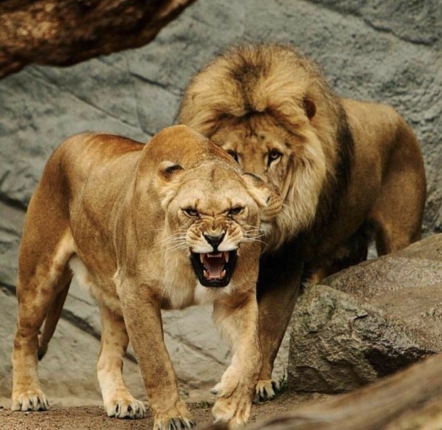 Intimidation women to men... thoughts, quotes, encouragement, opinion?